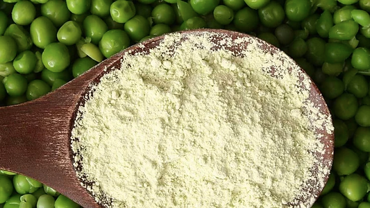Why Should You Switch to a Plant-Based Protein Powder?