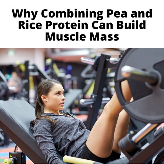 Why Combining Pea and Rice Protein Can Build Muscle Mass