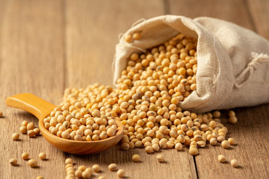 what you need to know about soy protein