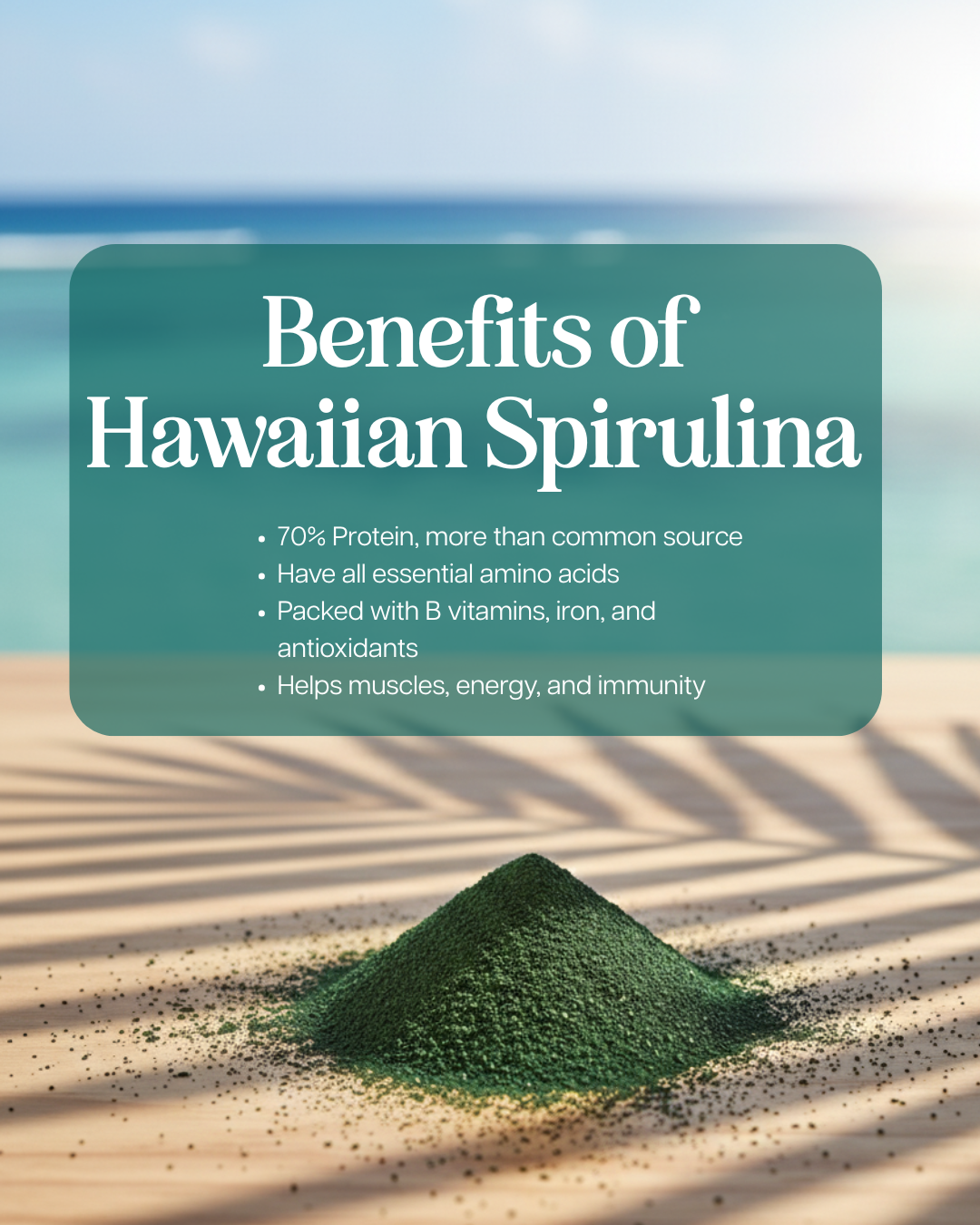 (NEW) Hawaiian Spirulina Pacifica® Soy Protein with Matcha