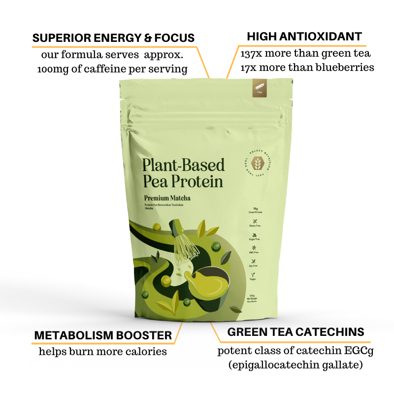 matcha pea protein