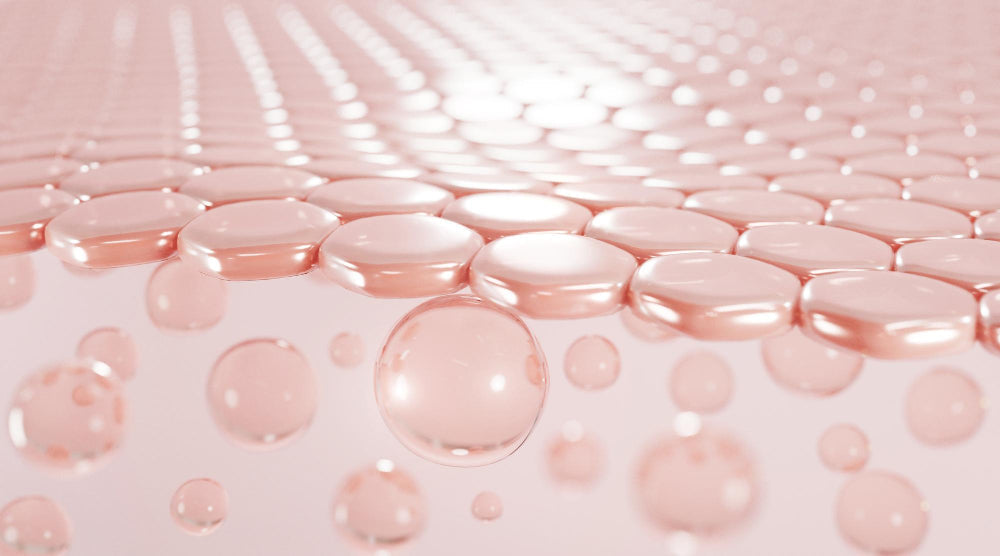 ceramide in the skin visual to represent article entitled is ceramide better than collagen