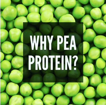 Why Pea Protein