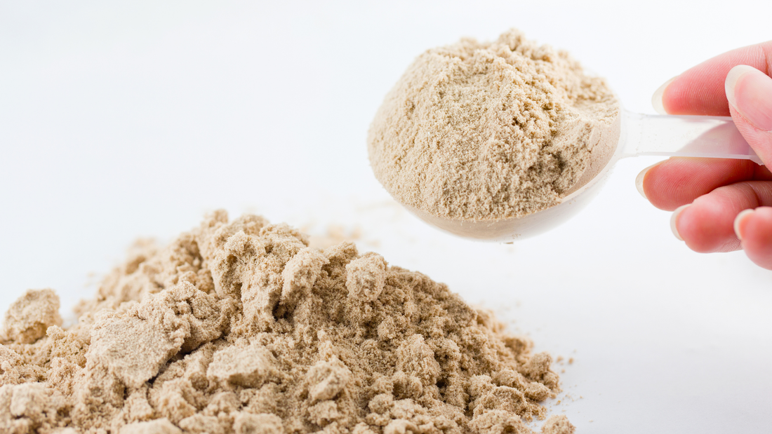 plant-based protein powder in a transparent scoop