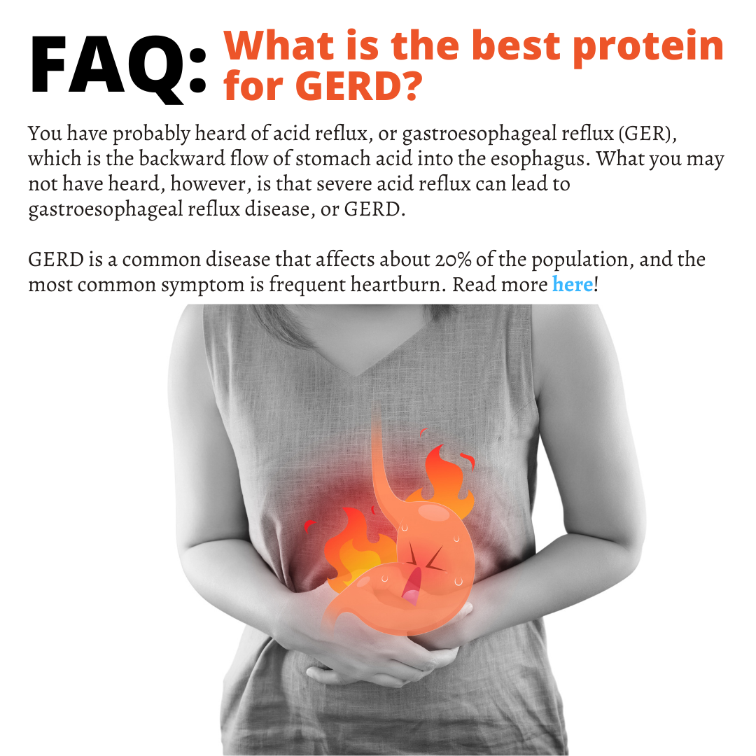FAQ: What is the best protein for GERD?
