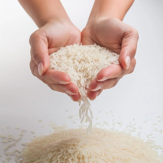 a scoop of hand full of rice to symbolize edible ceramide