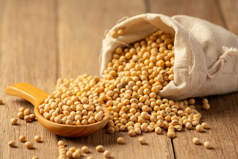 what you need to know about soy protein