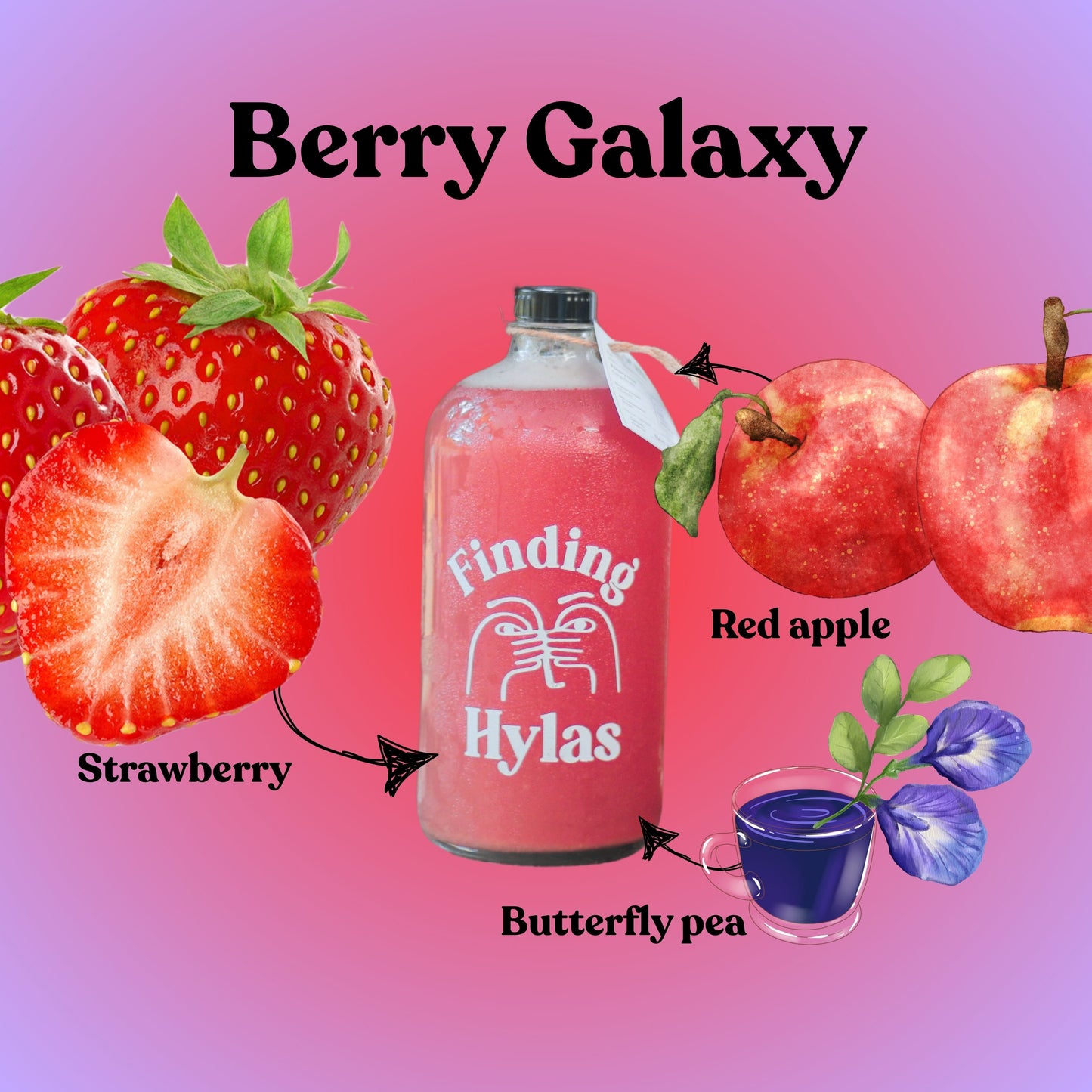 Finding Hylas Kombucha