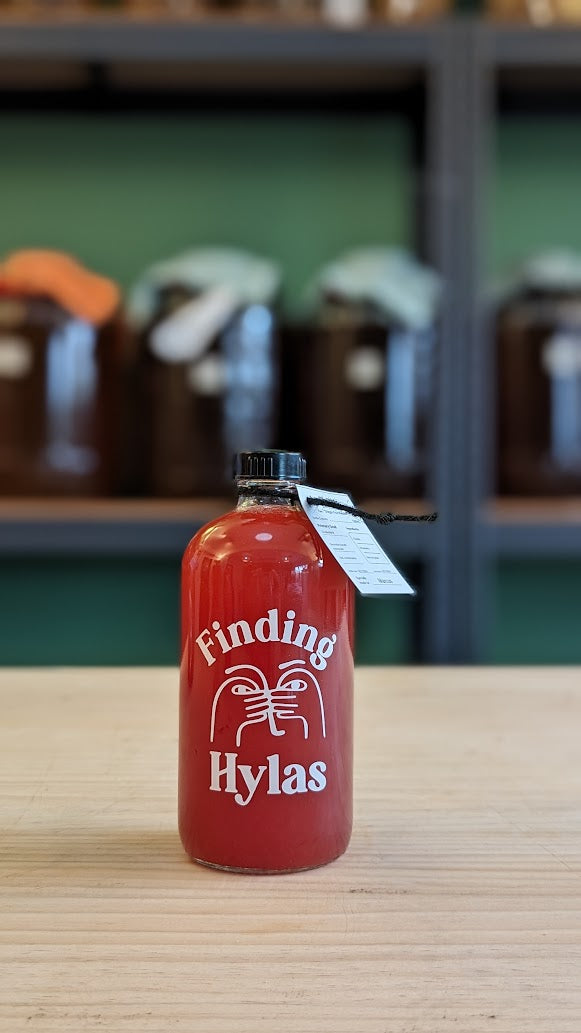Finding Hylas Kombucha