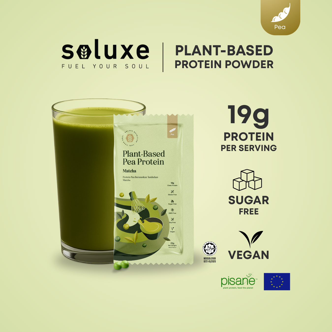 (CLEARENCE RACK) Protein Isolate Plant Powder Sachet - (25g)