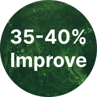 On Immune Reponse