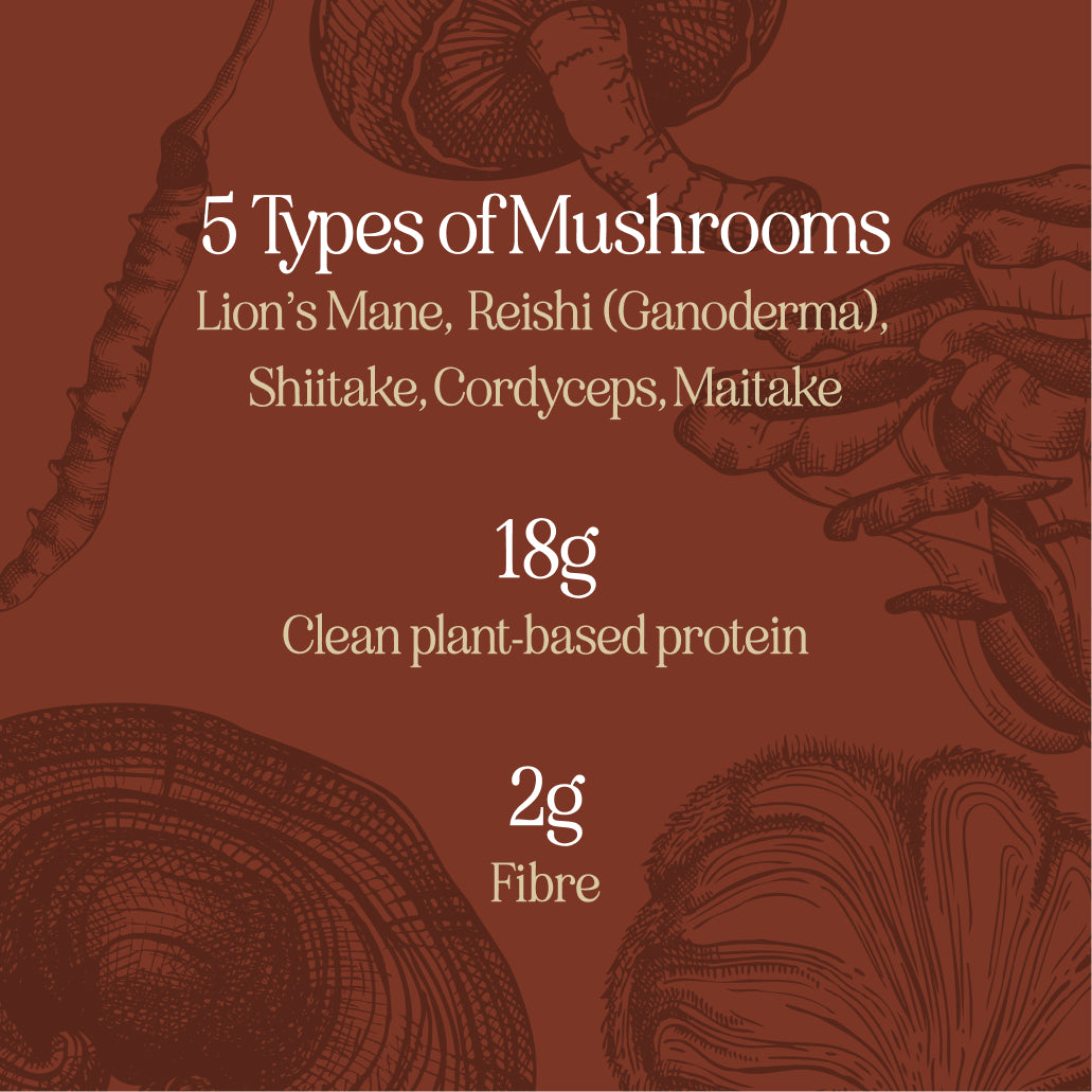 Soluxe Restore+ Mushroom Soup (Beta-Kit)